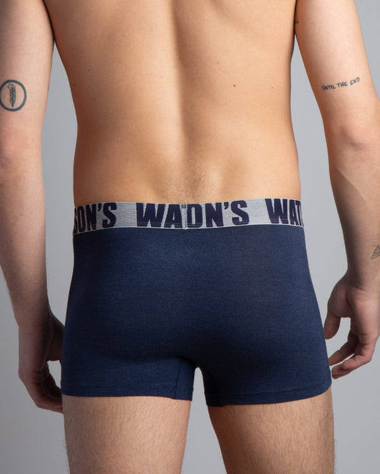 Premium Modal Trunk