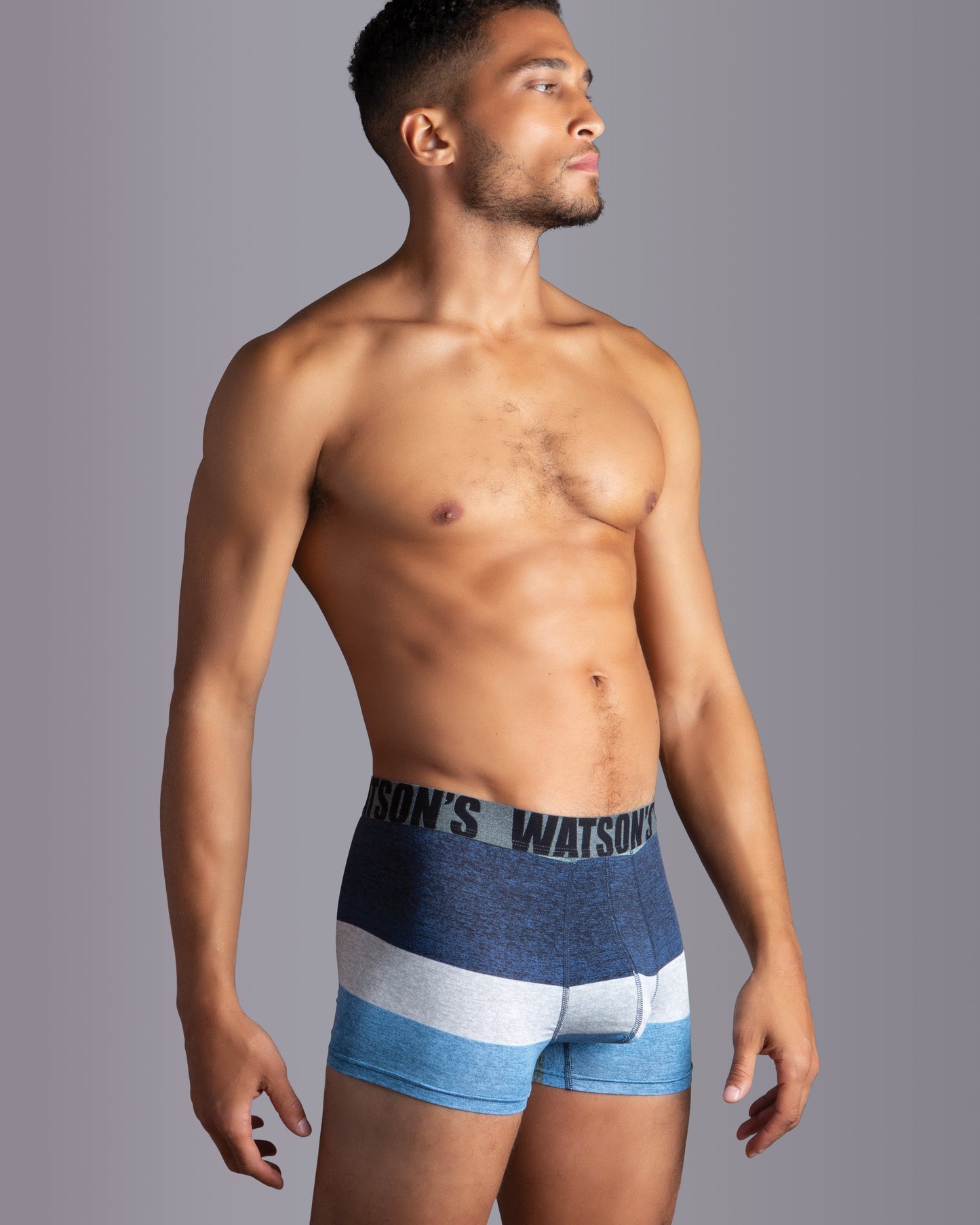 Premium Modal Trunk