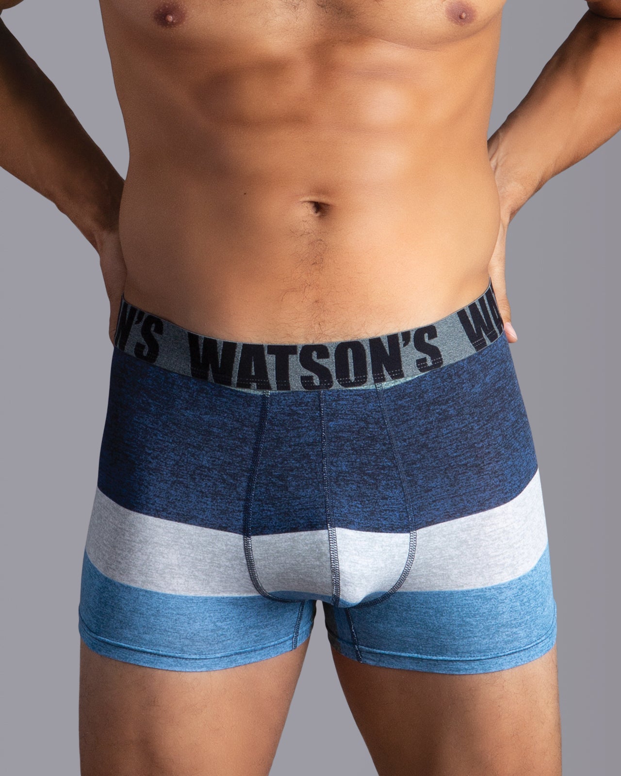 Premium Modal Trunk