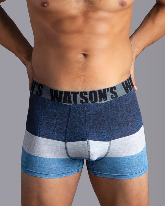 Premium Modal Trunk