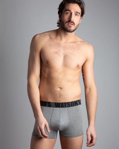 Premium Modal Trunk