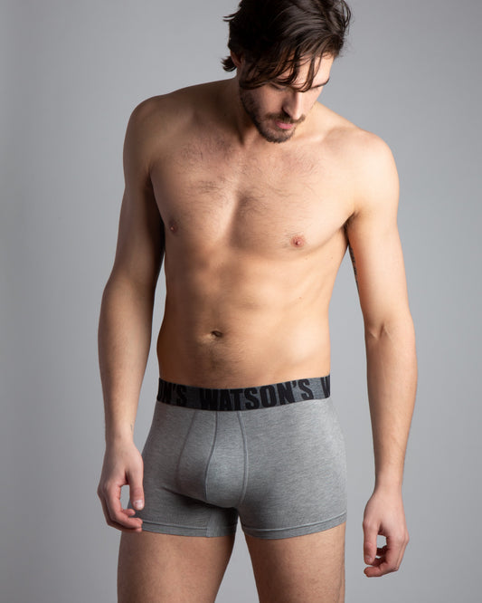 Premium Modal Trunk