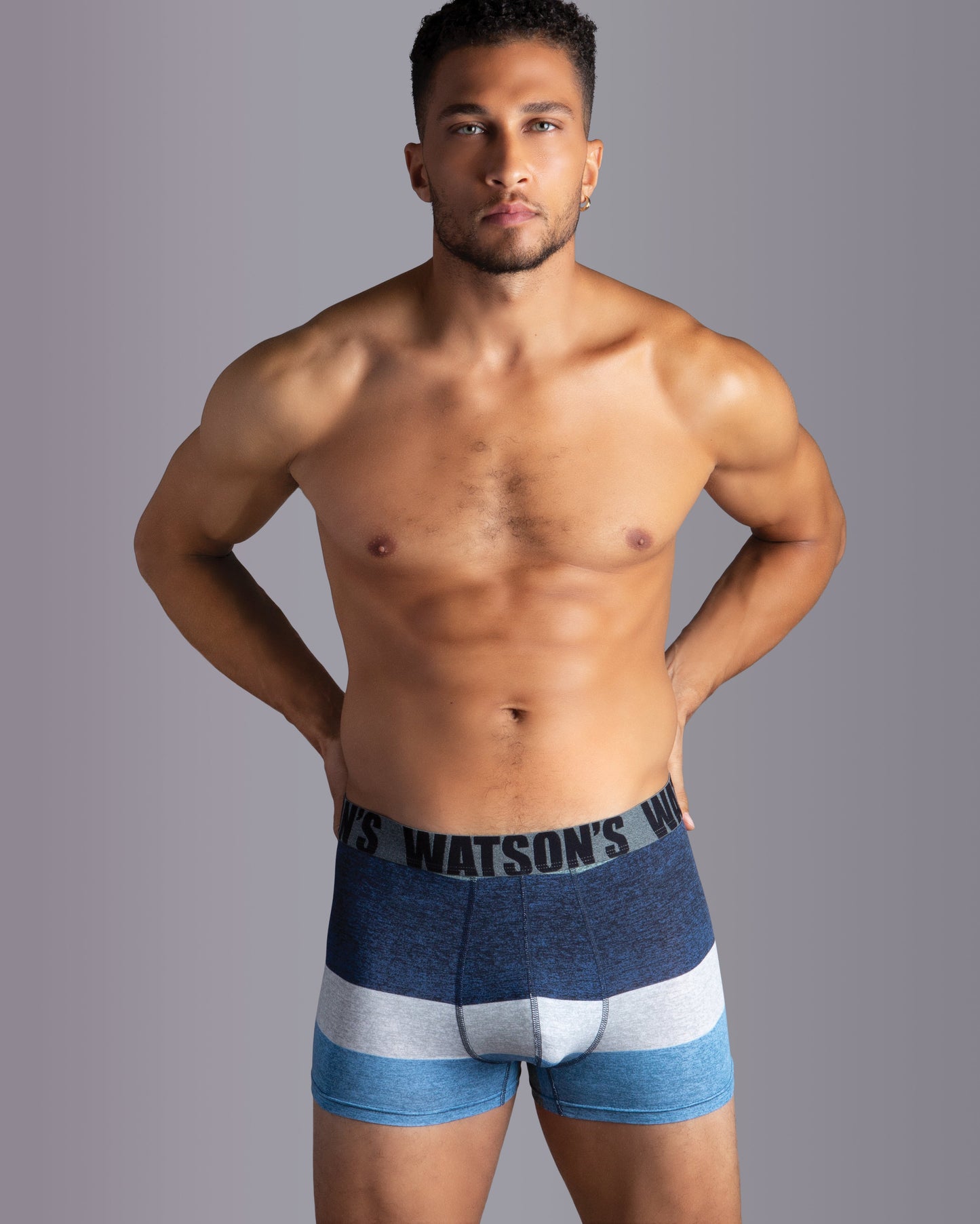 Premium Modal Trunk