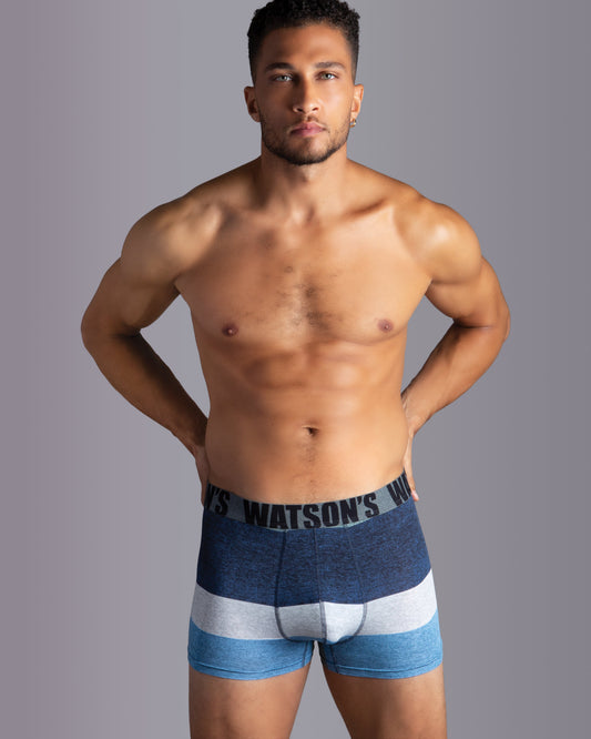 Premium Modal Trunk